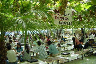 🍇 시로네 포도 정원(시로네 그레푸 가덴)